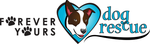 Forever Yours Dog Rescue In Oklahoma