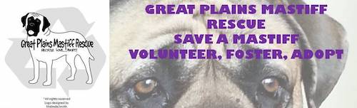 Great Plains Mastiff Rescue In Oklahoma