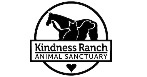Kindness Ranch Animal Sanctuary In Wyoming