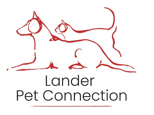 Lander Pet Connection Rescue In Wyoming