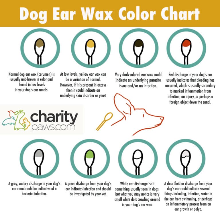 Dog Ear Wax Color Chart Find Out What Each Color Means