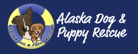 Alaska Dog And Puppy Rescue In Alaska