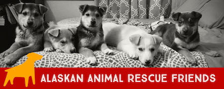 Alaskan Animal Rescue Friends In Anchorage Alaska