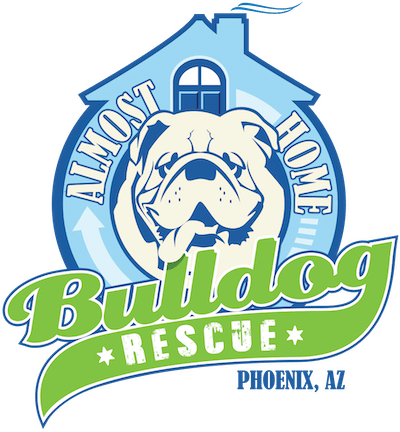 Almost Home Bulldog Rescue In Phoenix Arizona