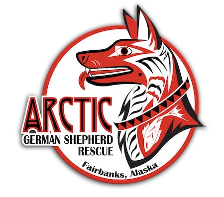 Arctic German Shepherd Rescue In Fairbanks Alaska