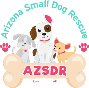 Arizona Small Dog Rescue