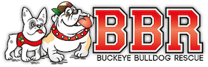 Buckeye Bulldog Rescue In Ohio