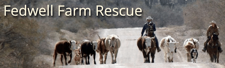 Fedwell Farm Rescue In Arizona