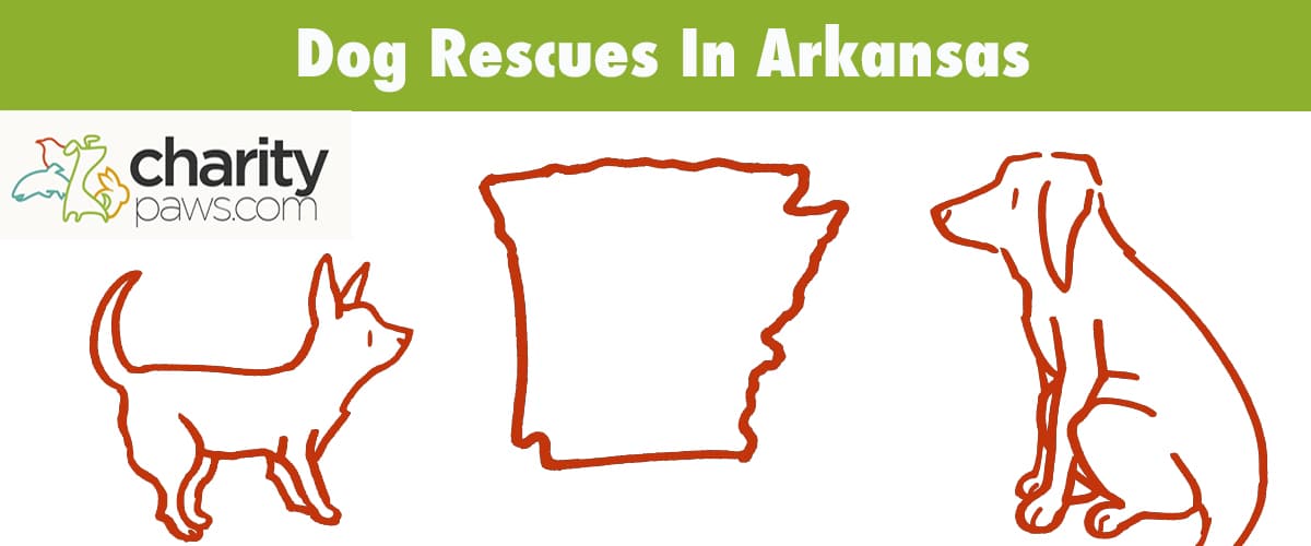 Find A Dog Rescue In Arkansas To Adopt A Dog From