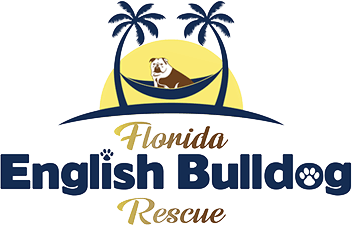 Florida English Bulldogs Rescue