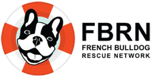 French Bulldog Rescue Network