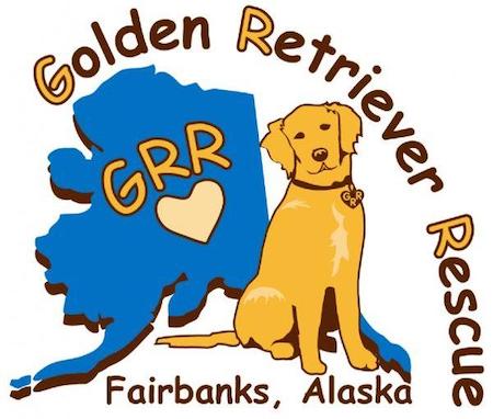 Golden Retriever Rescue In Fairbanks Alaska
