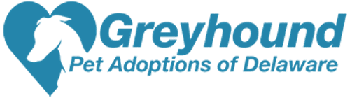 Greyhound Pet Adoptions of Delaware
