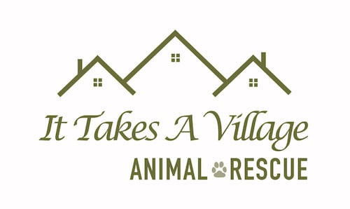 It Takes A Village Animal Rescue In Delaware