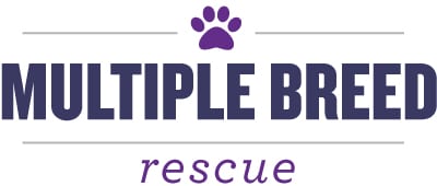 Multiple Breed Rescue In Ohio