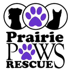 Prairie Paws Rescue In Jamestown North Dakota
