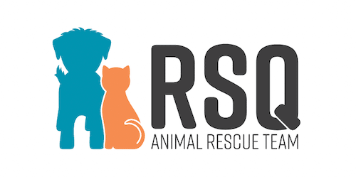 RSQ Animal Rescue Team In Utah