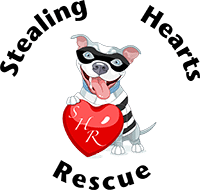 Stealing Hearts Rescue In Arizona