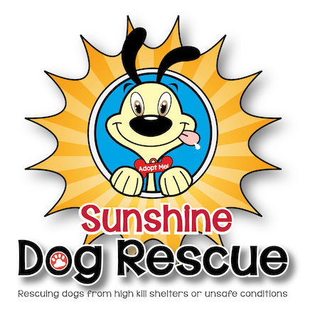 Sunshine Dog Rescue In Arizona
