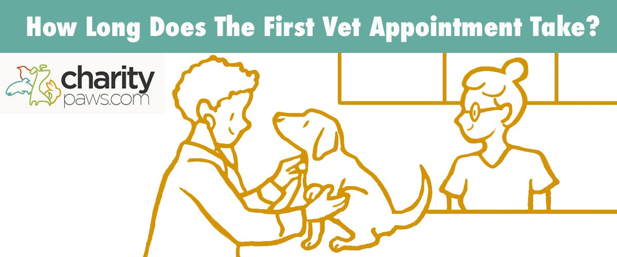 When Should Your Puppy See The Vet
