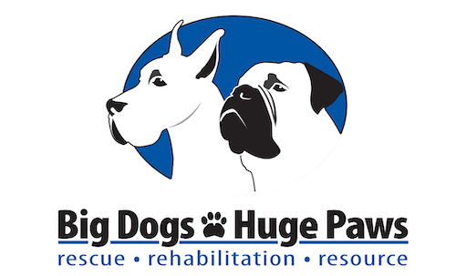 Big Dogs Huge Paws Rescue In Colorado