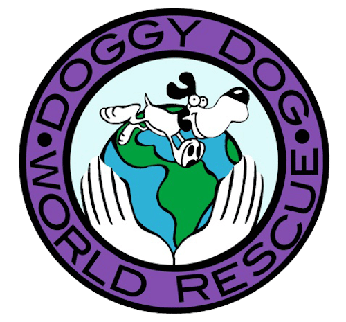Doggy Dog World Rescue In Colorado