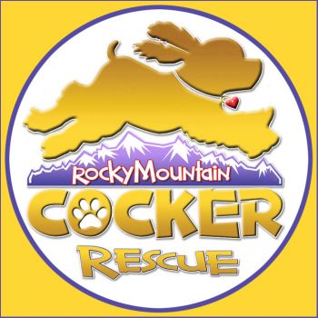 Rocky Mountain Cocker Rescue In Colorado