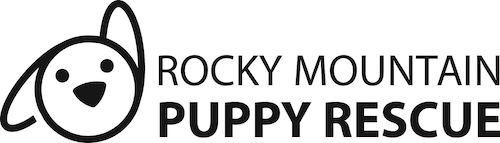 Rocky Mountain Puppy Rescue In Colorado