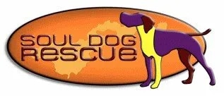 Soul Dog Rescue In Colorado