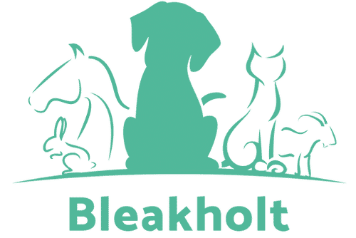 Bleakholt Dog Rescue In North West UK