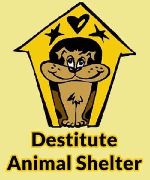 Destitute Animal Shelter In North West UK