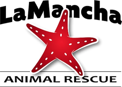 LaMancha Animal Rescue In Pennsylvania