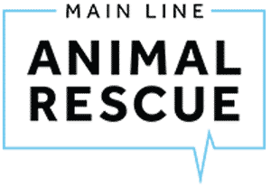 Main Line Animal Rescue In Pennsylvania
