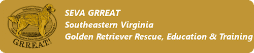 SEVA Dog Rescue In Virginia