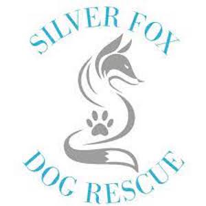 Silver Fox Dog Rescue UK