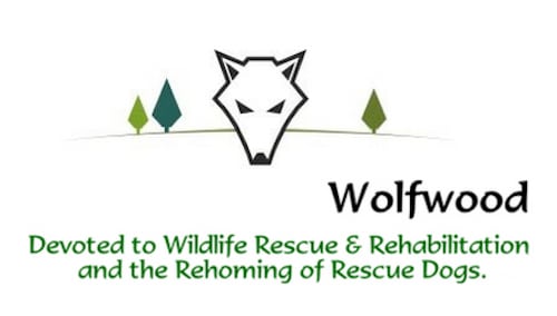 Wolfwood Wildlife and Dog Rescue In North West UK