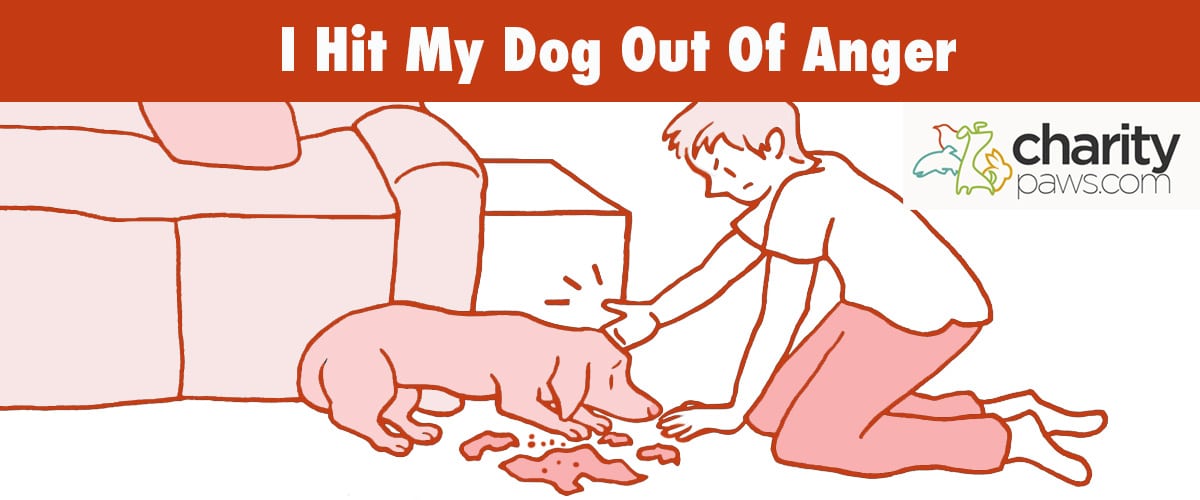 What To Do If I Hit My Dog Out Of Anger